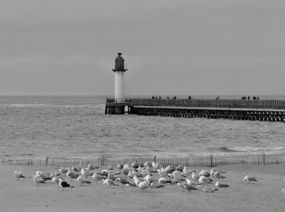 Studio-Calais Plage-Front De Mer 外观 照片